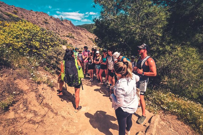 The Volcano Heart Tour: Hiking, Tasting and Sunset Experience - Why this Volcano Heart tour works as a full-day “island intro”